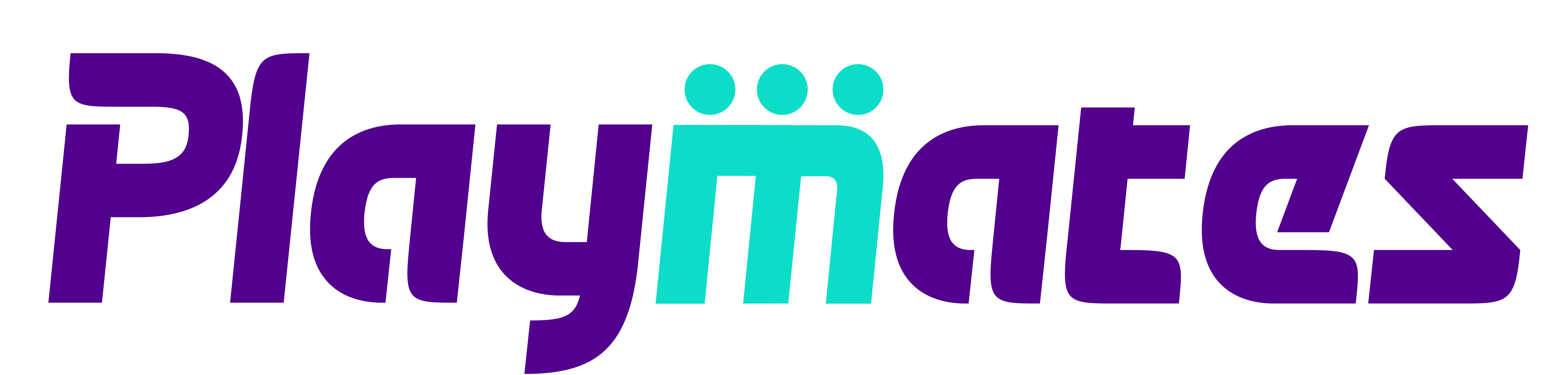 Website Logo